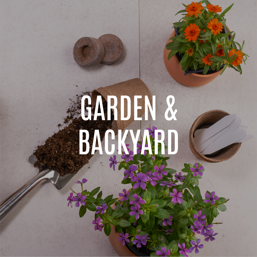 garden and backyard