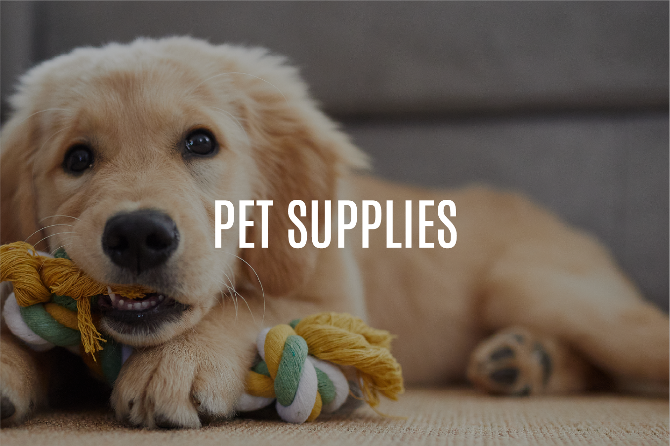 pet supplies